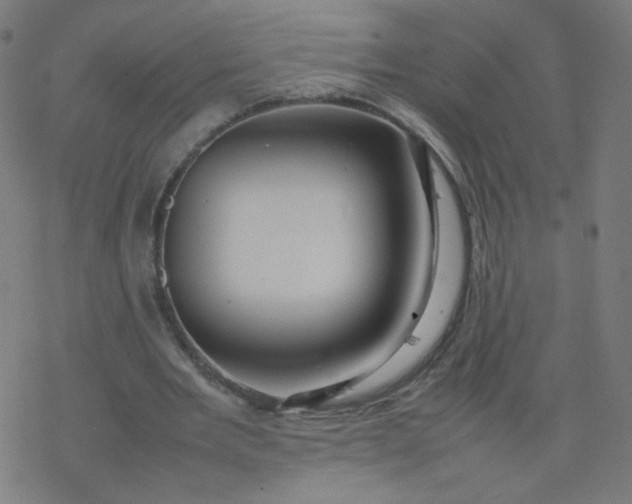 X0000077380485200611031940