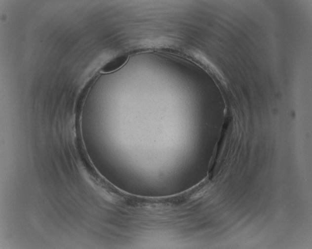 X0000077380486200611031940