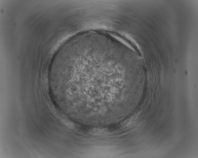 X0000077380487200611031940