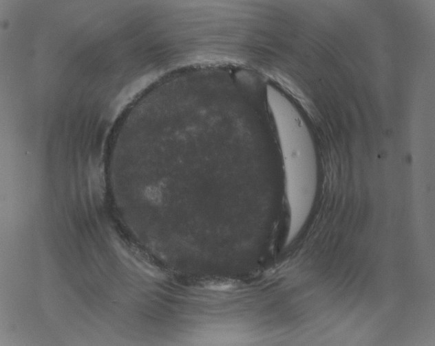 X0000077380488200611031940