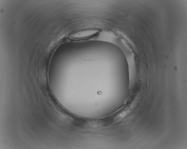 X0000077380489200611031940