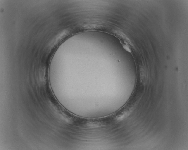 X0000077380490200611031940