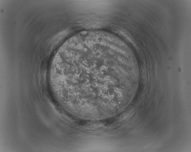 X0000077380491200611031940