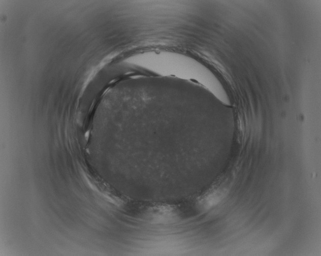 X0000077380492200611031940