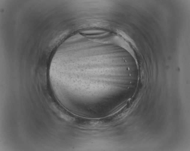 X0000077380493200611031940