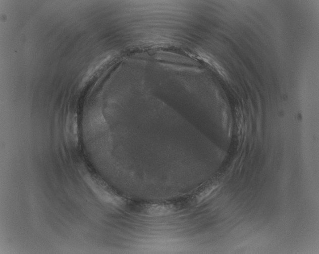 X0000077380494200611031940