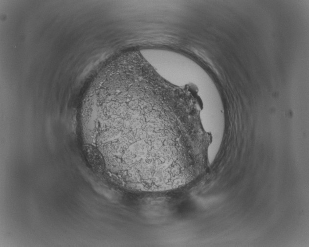 X0000077380495200611031940