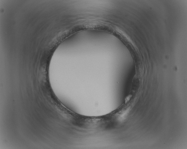 X0000077380497200611031940