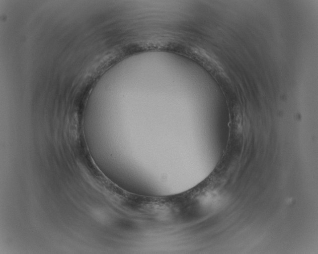 X0000077380498200611031940