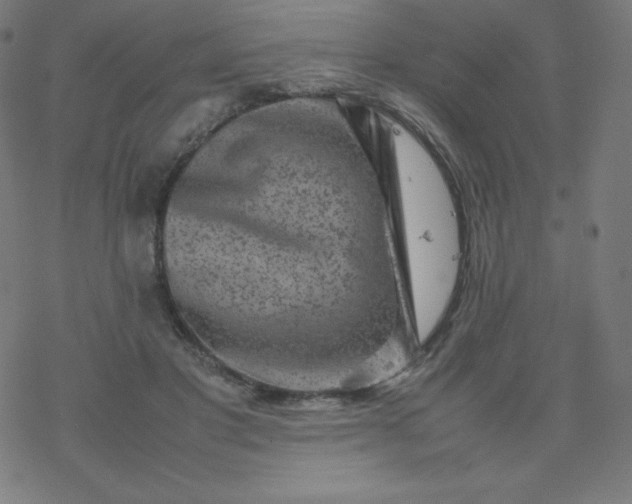 X0000077380501200611031940