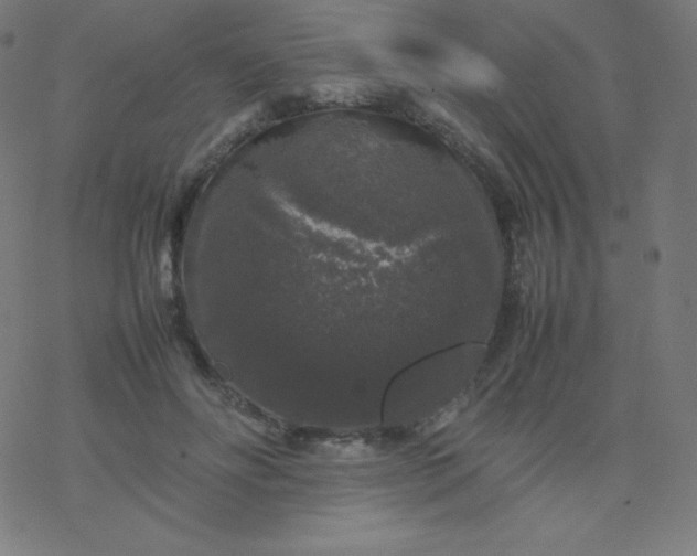 X0000077380502200611031940