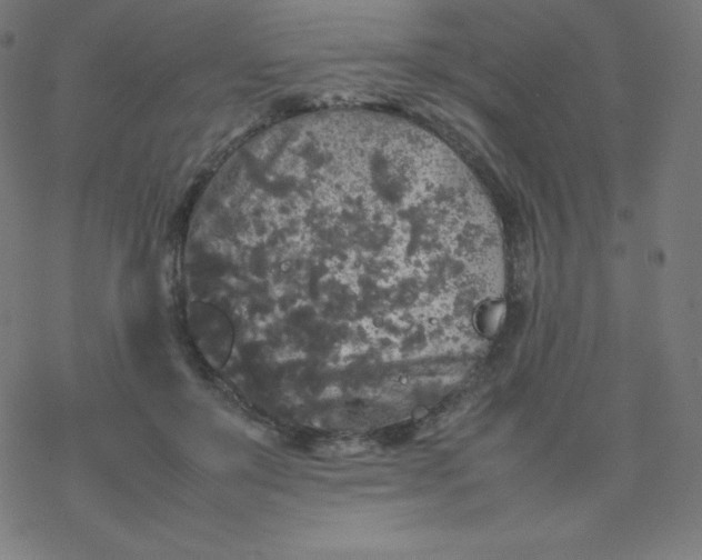 X0000077380503200611031940