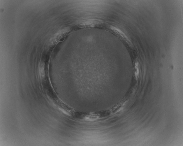 X0000077380504200611031940