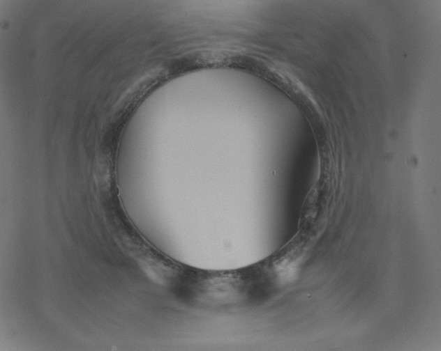 X0000077380505200611031940