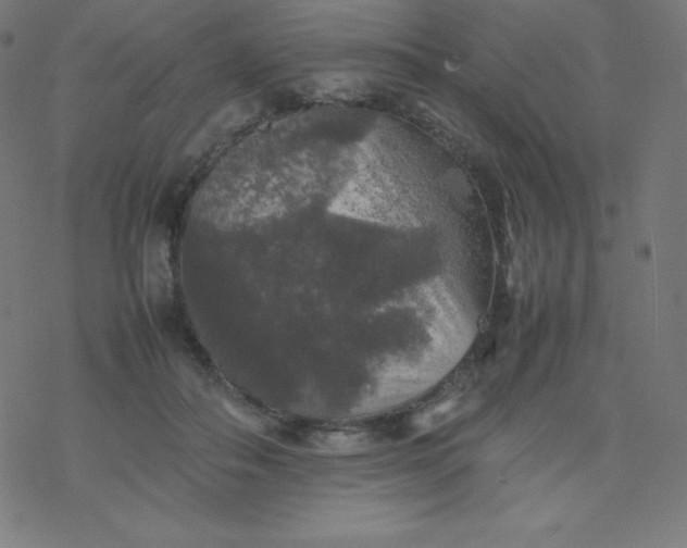 X0000077380506200611031940