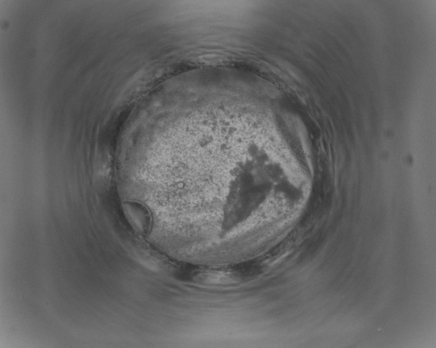 X0000077380507200611031940