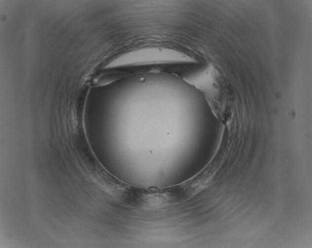 X0000077380508200611031940