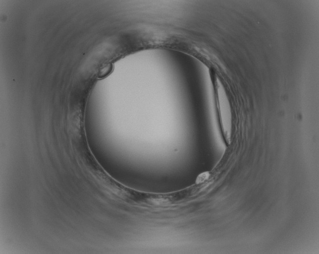 X0000077380509200611031940