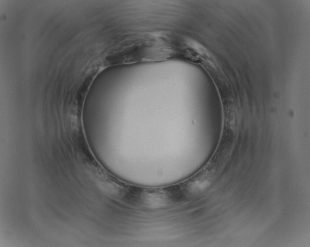 X0000077380510200611031940