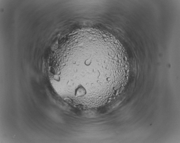 X0000077380511200611031940