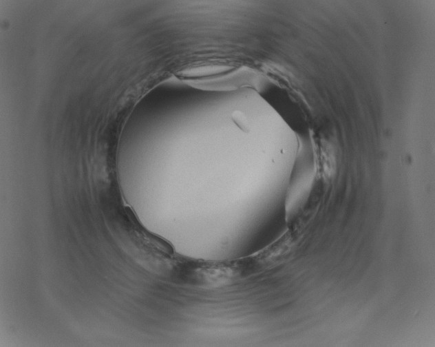 X0000077380512200611031940