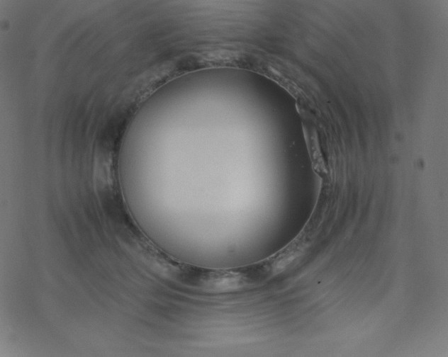 X0000077380514200611031940