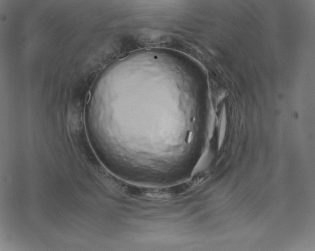 X0000077380515200611031940