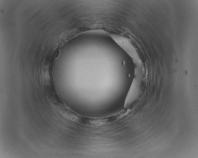 X0000077380516200611031940