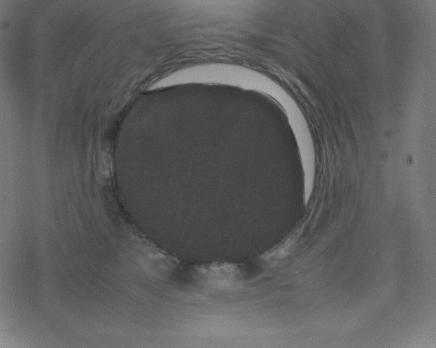 X0000077380517200611031940