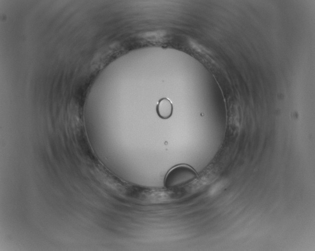 X0000077380518200611031940