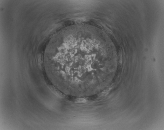 X0000077380519200611031939