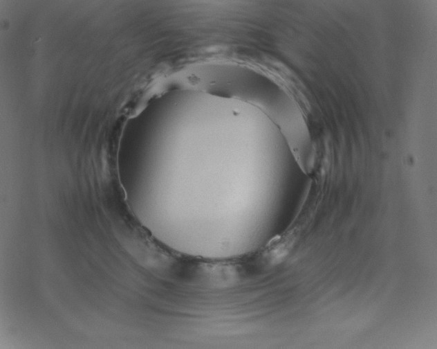 X0000077380520200611031939