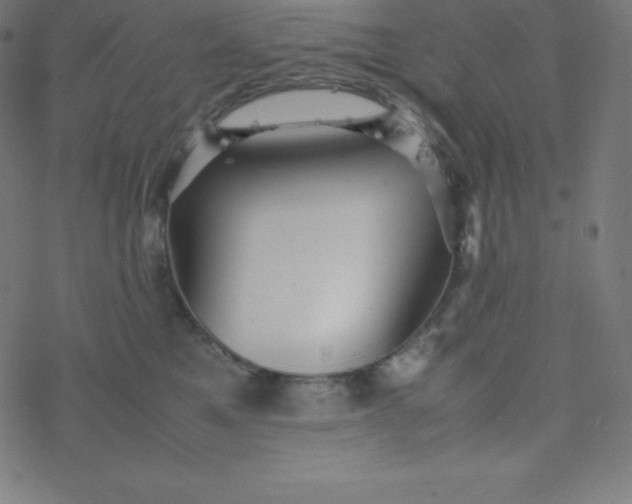 X0000077380521200611031939