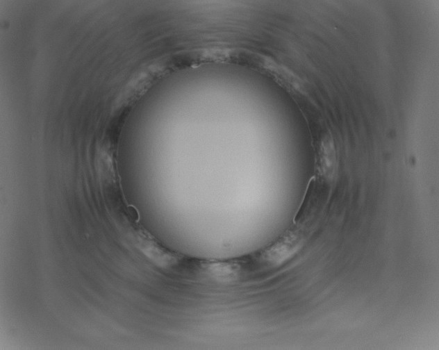 X0000077380522200611031939