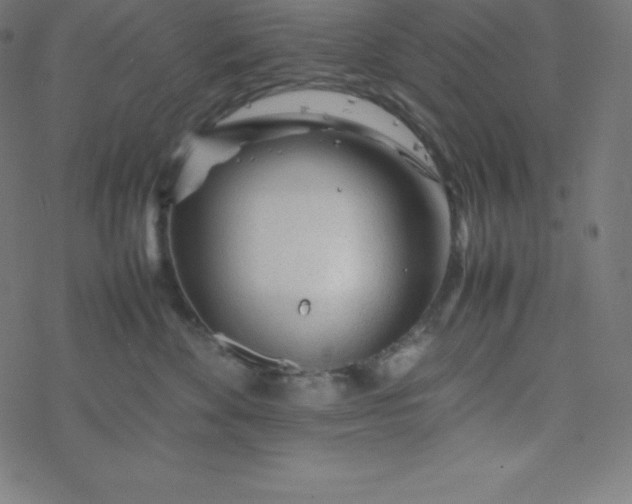 X0000077380524200611031939