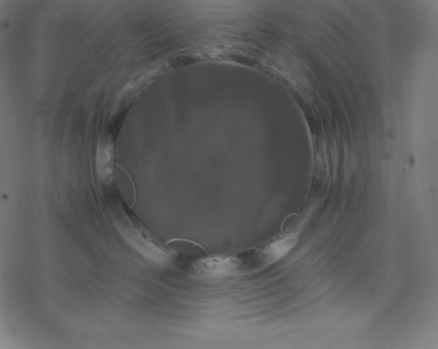 X0000077380526200611031939