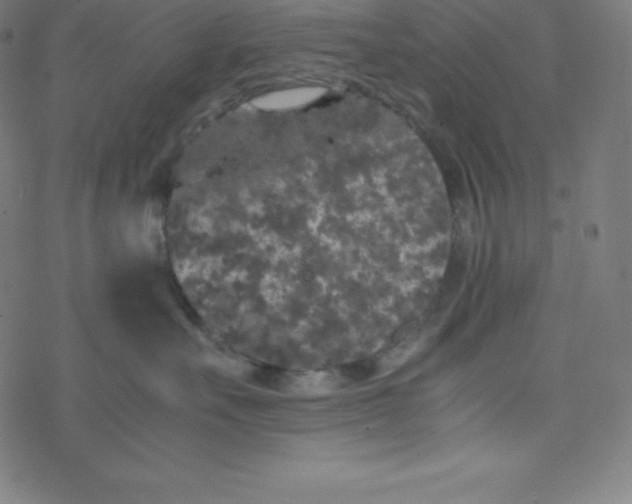 X0000077380527200611031939