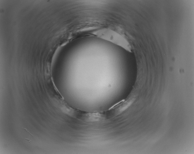 X0000077380528200611031939