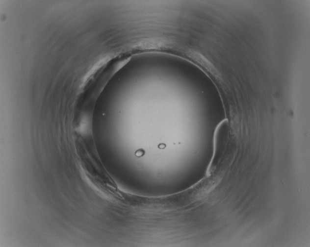 X0000077380530200611031939