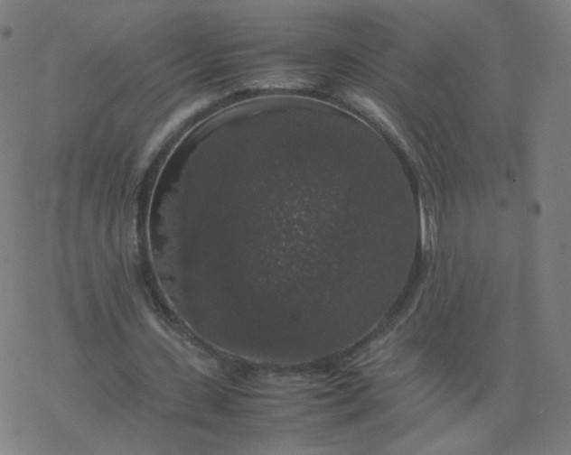 X0000077380531200611031939