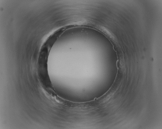 X0000077380532200611031939