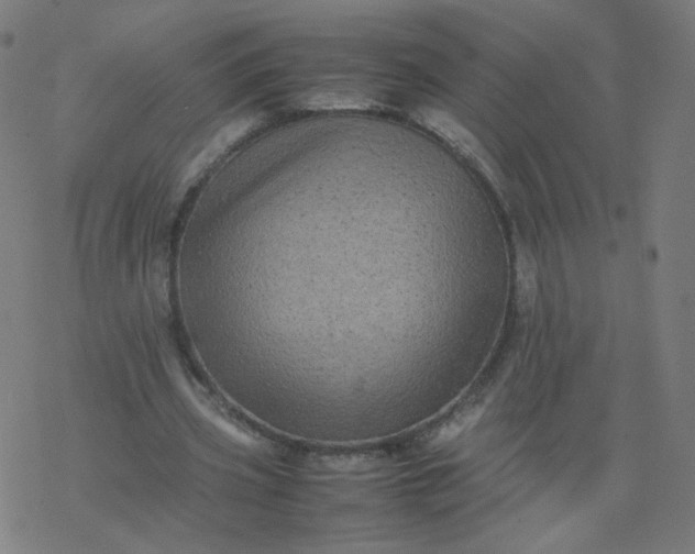 X0000077380533200611031939