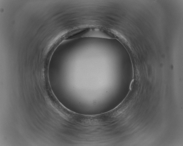 X0000077380535200611031939