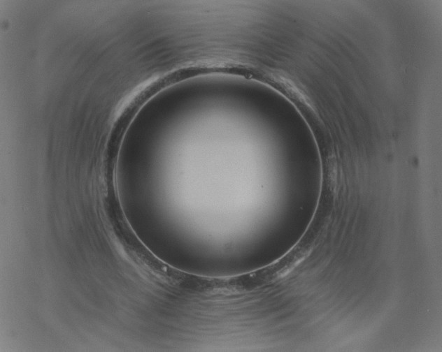 X0000077380536200611031939