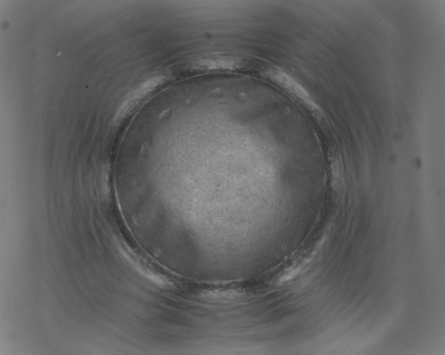 X0000077380537200611031939