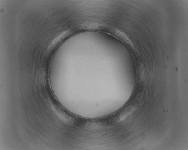 X0000077380538200611031939