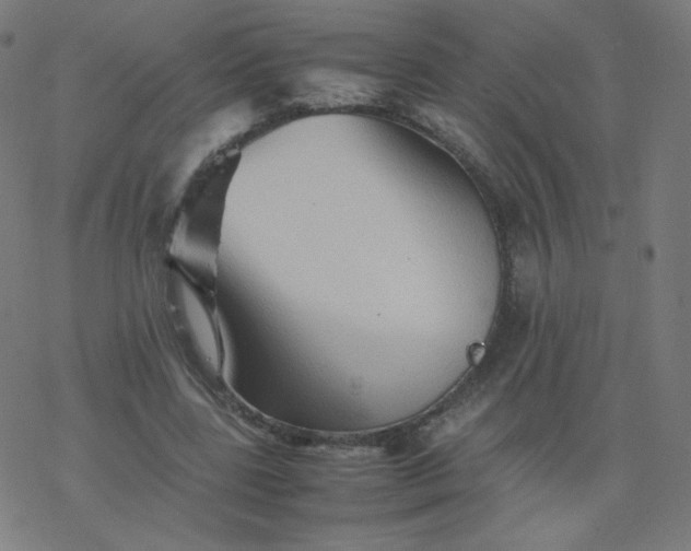 X0000077380539200611031939