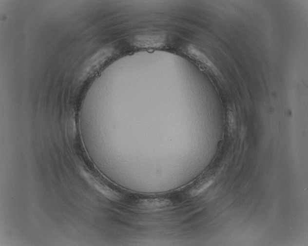 X0000077380541200611031939