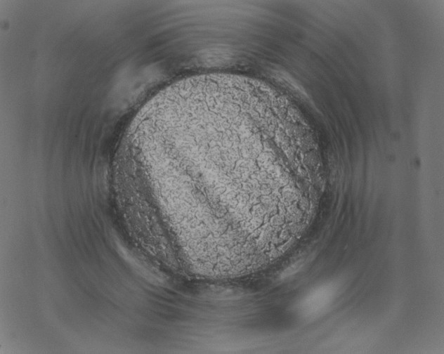 X0000077380542200611031939