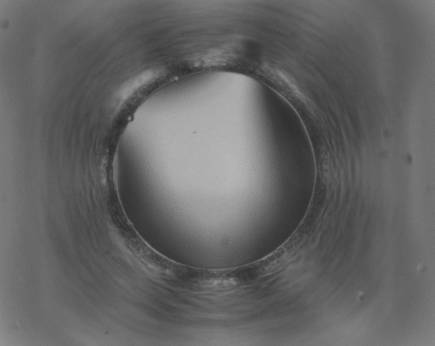 X0000077380543200611031939